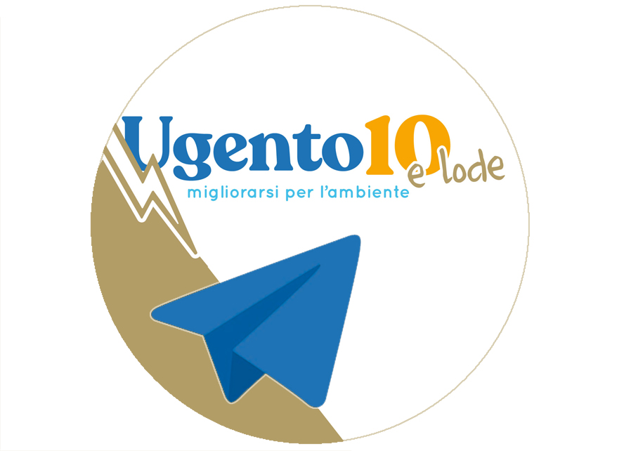 il canale Telegram
